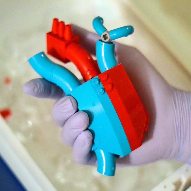 LEGO MOC Anatomical Heart by pino_creations Rebrickable Build with LEGO